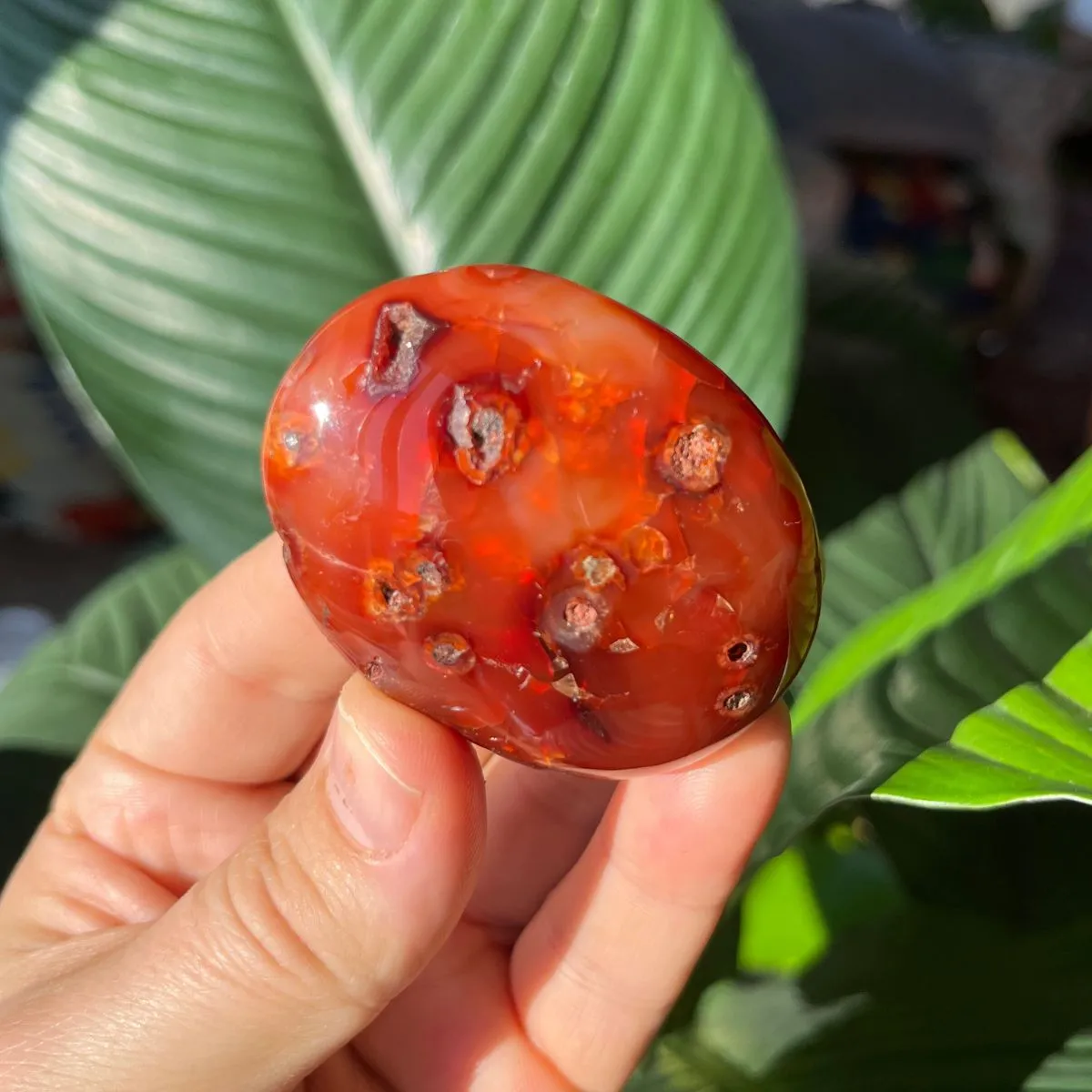 Carnelian Gallets - Polished Palm Stones