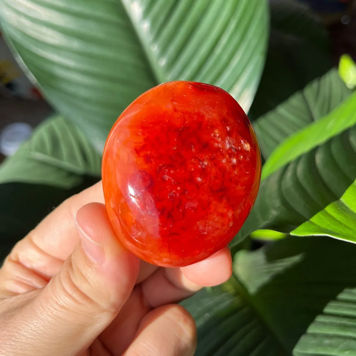 Carnelian Gallets - Polished Palm Stones